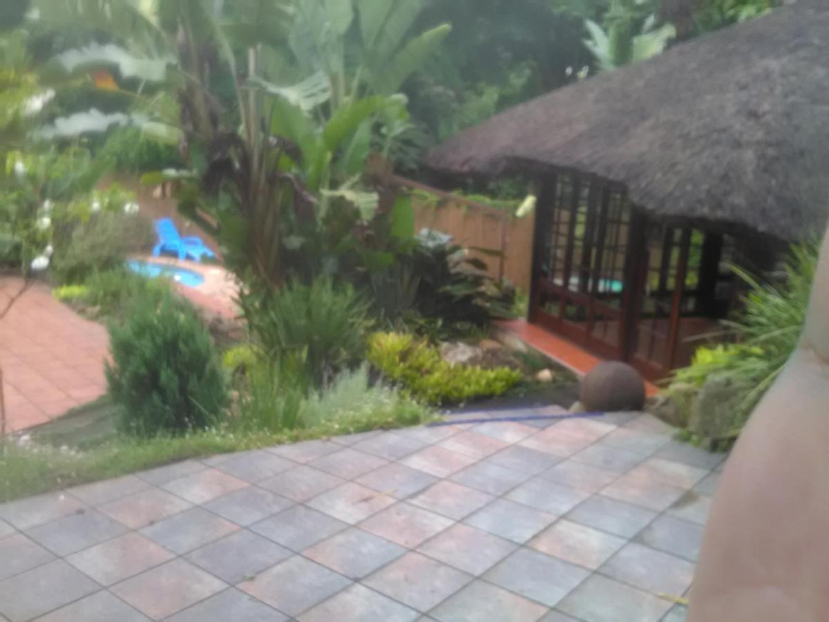 Thrush Nest Durban Panzió Pinetown Kültér fotó