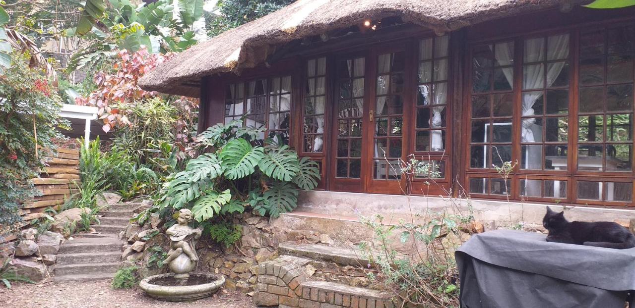 Thrush Nest Durban Panzió Pinetown Kültér fotó